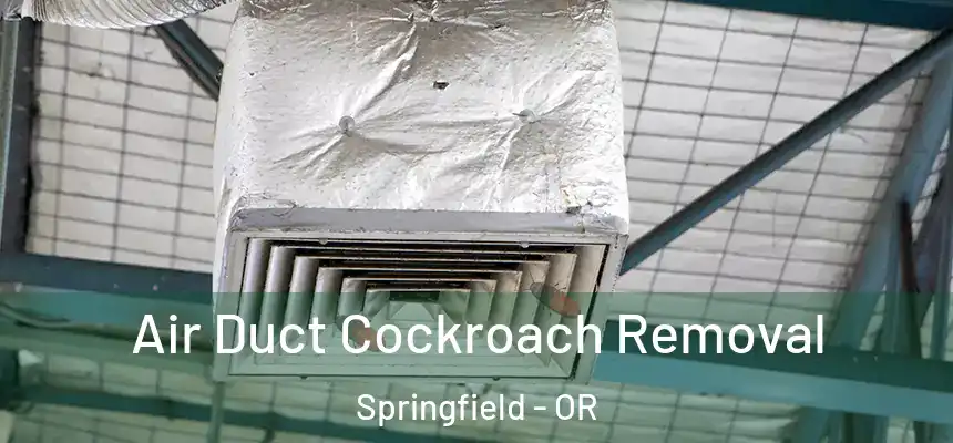 Air Duct Cockroach Removal Springfield - OR