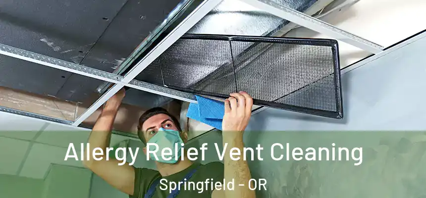Allergy Relief Vent Cleaning Springfield - OR