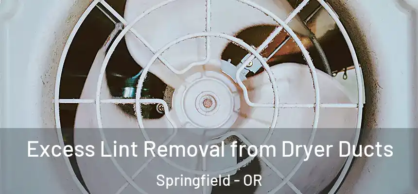 Excess Lint Removal from Dryer Ducts Springfield - OR