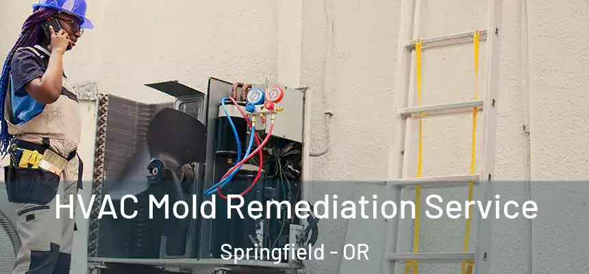 HVAC Mold Remediation Service Springfield - OR