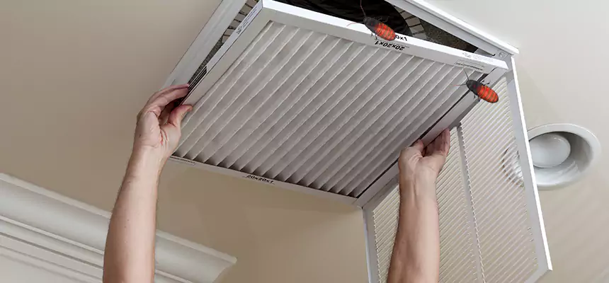 Preventive Cockroach-Proofing for Ducts in Springfield