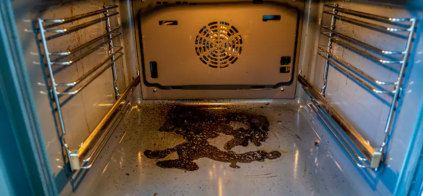 Our Dryer Vent Mold Cleaning Services in Springfield, OR