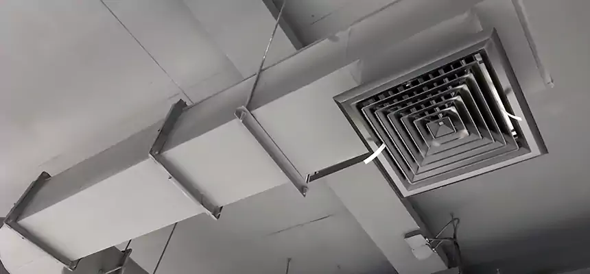 Our Pest Removal From Ducts Services in Springfield, OR