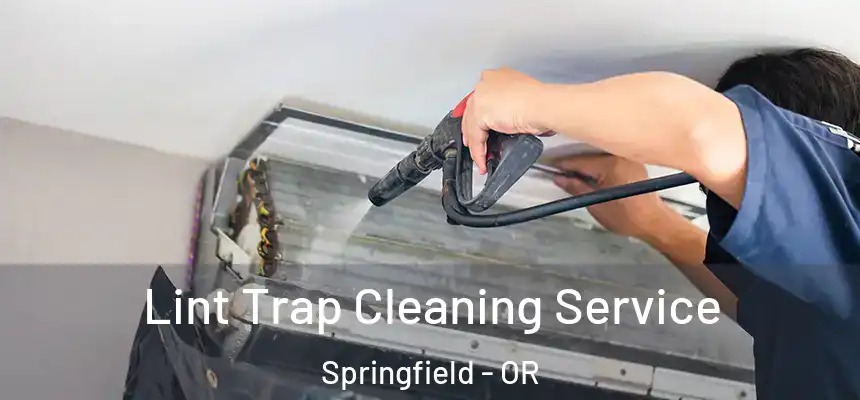 Lint Trap Cleaning Service Springfield - OR