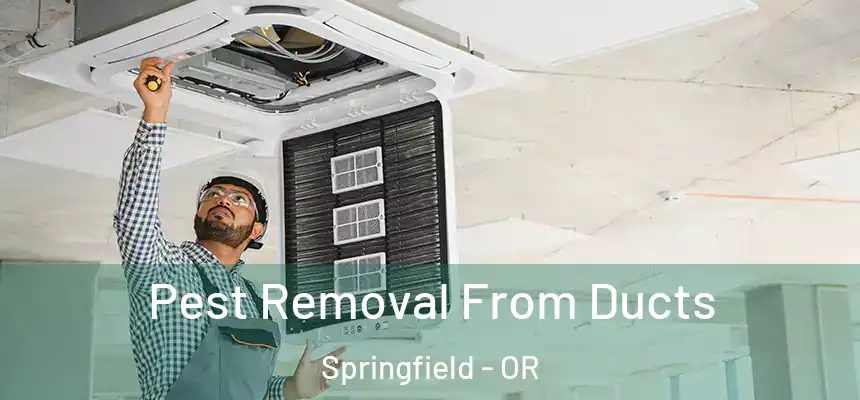  Pest Removal From Ducts Springfield - OR