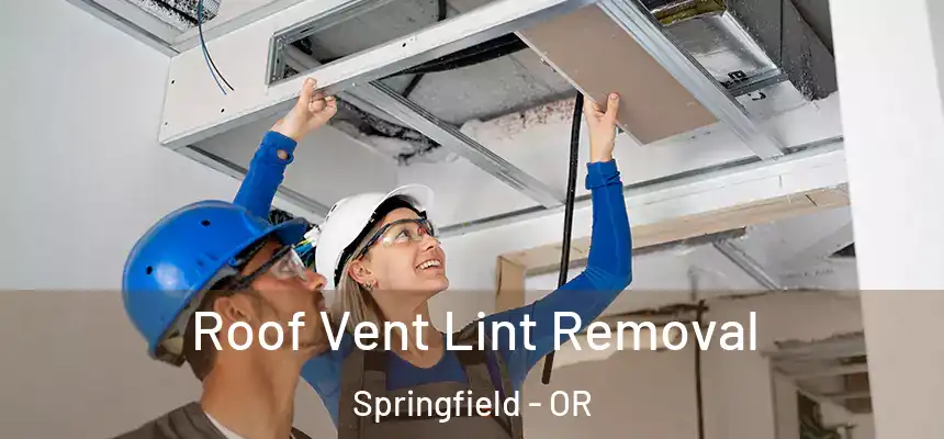 Roof Vent Lint Removal Springfield - OR