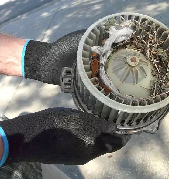 About Air Duct Mice Removal in Springfield, OR