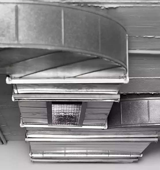 Professional Air Duct Pet Hair Removal in Springfield, OR