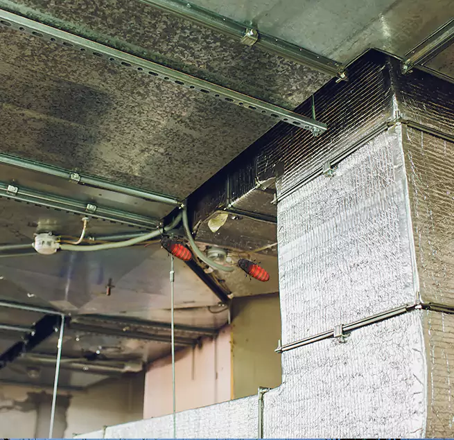 Why Homeowners & Businesses Trust Us in Springfield, OR?