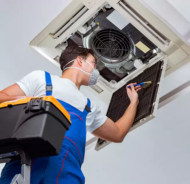 Why Homeowners & Businesses Trust Us in Springfield, OR