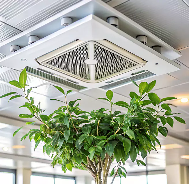 Why Homeowners & Businesses Trust Us in Springfield, OR?