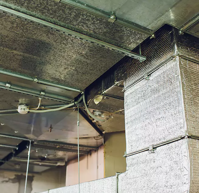 Why Homeowners & Businesses Trust Us in Springfield, OR?